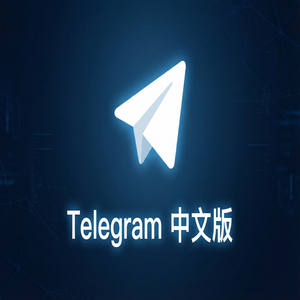 纸飞机中文版群组内如何进行视频会议？ - Telegram 官网